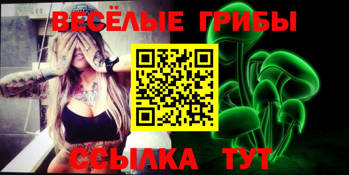 Псилоцибиновые грибы Cubensis  Псилоцибиновые грибы Psilocybine cubensis  Красноармейск  Вход с VPN 