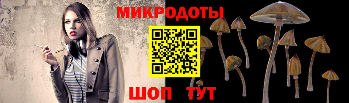 Псилоцибиновые грибы Cubensis Красноармейск